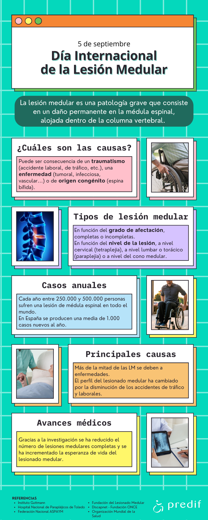 Infografía con datos e información sobre la lesión medular
