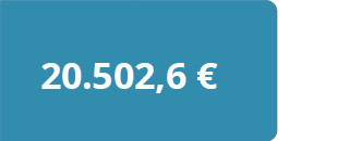20.502,6€ hombres con discapacidad