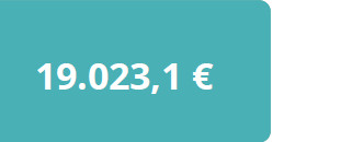19.023,1€ media con discapacidad
