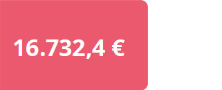 16.732,4€ mujeres con discapacidad
