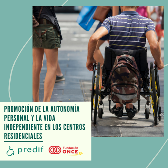 Cartel con el nombre del proyecto, una imagen con un chico en silla de ruedas y los logos de RPEDIF y Fundación ONCE