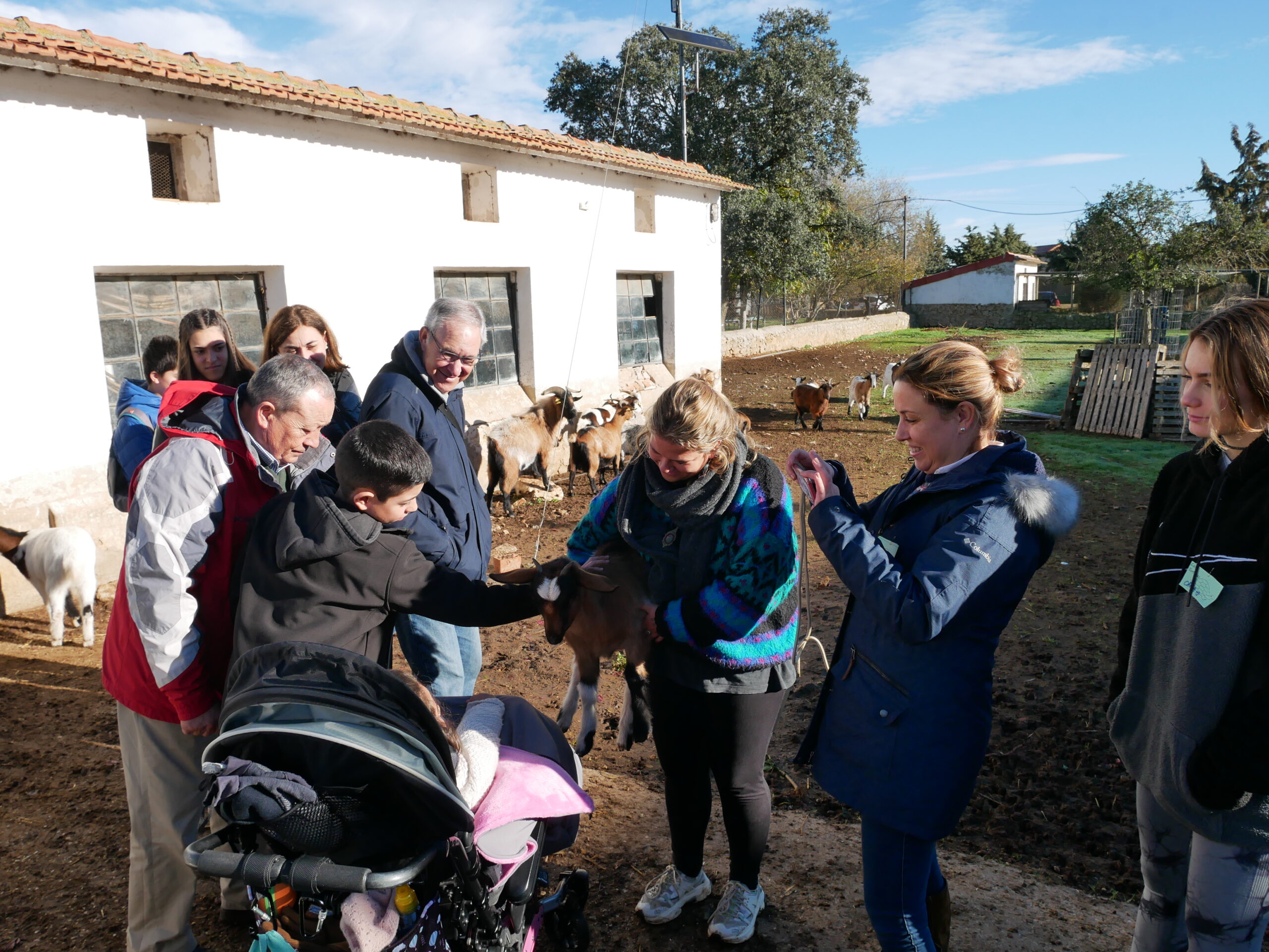 Mayores y pequeños rodean y acarician a una cabra