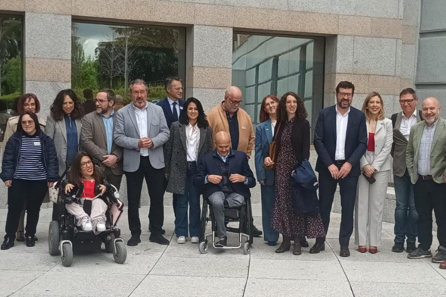IMPULSA IGUALDAD y CERMI con grupos parlamentarios del Senado y Gobierno celebrando la aprobación por la Cámara Alta de la modificación del artículo 49 del ET